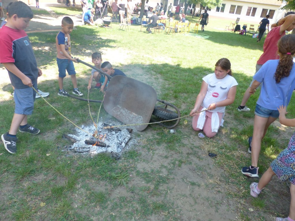 p1310414.jpg