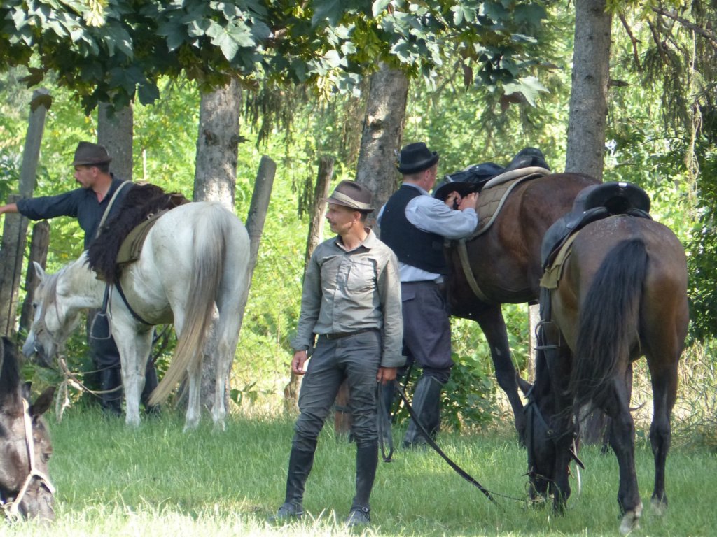 p1320464.jpg