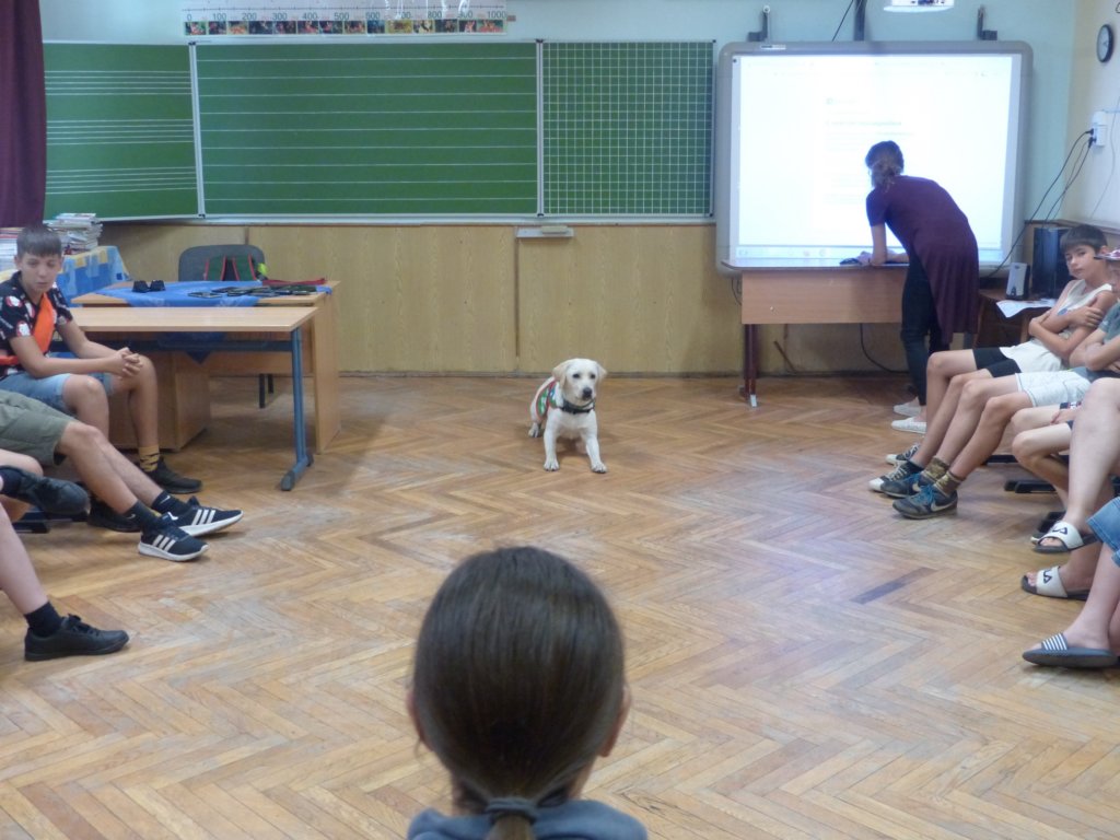 p1340023.jpg