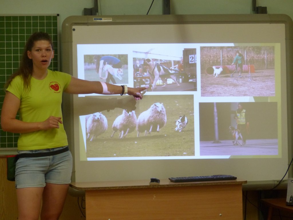 p1340027.jpg