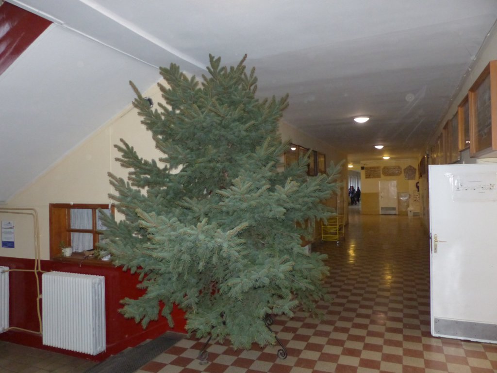 p1270536.jpg