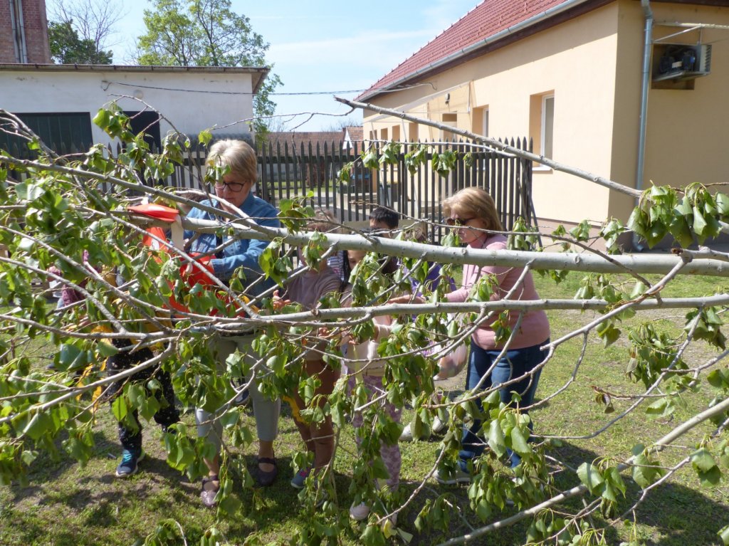 p1290845.jpg