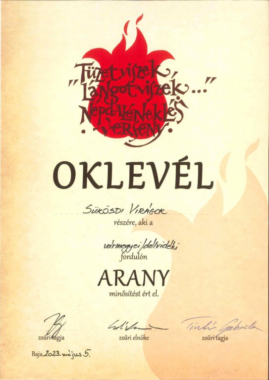 sksdivirgok2305.jpg
