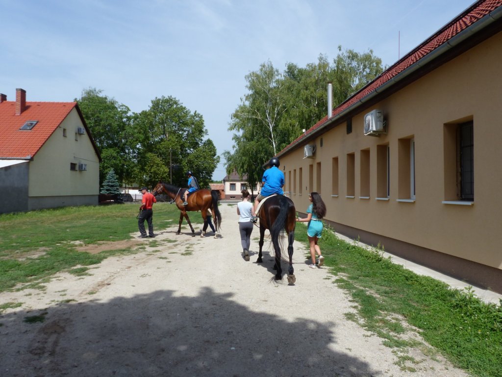 p1440919.jpg