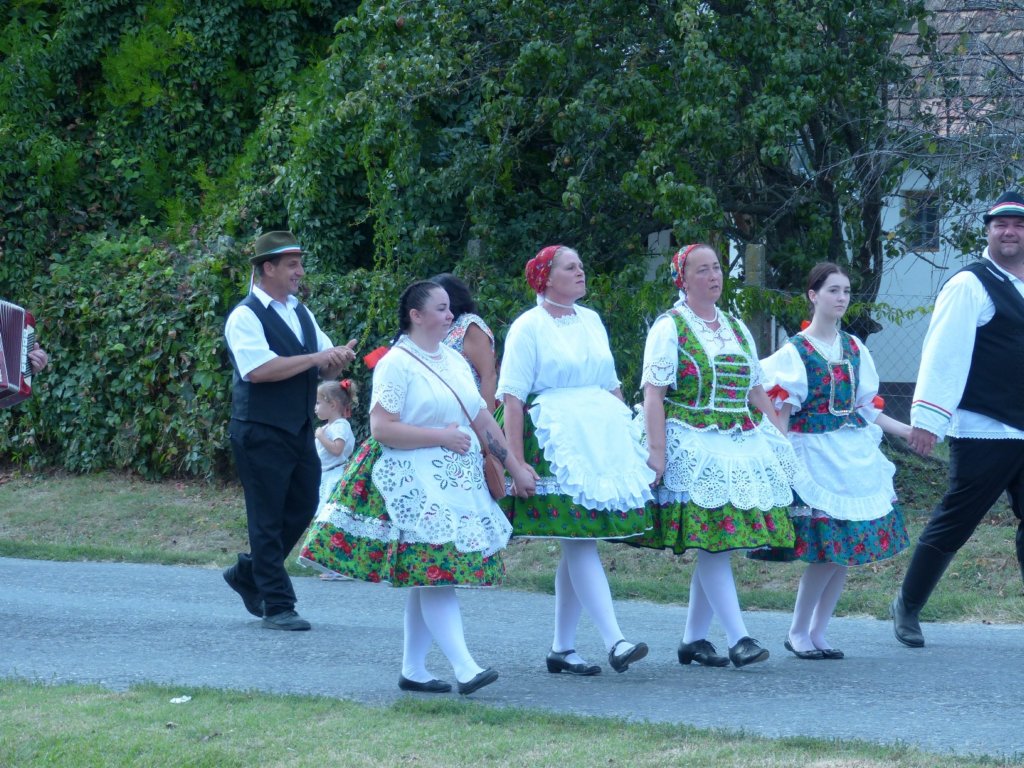 p1340891.jpg