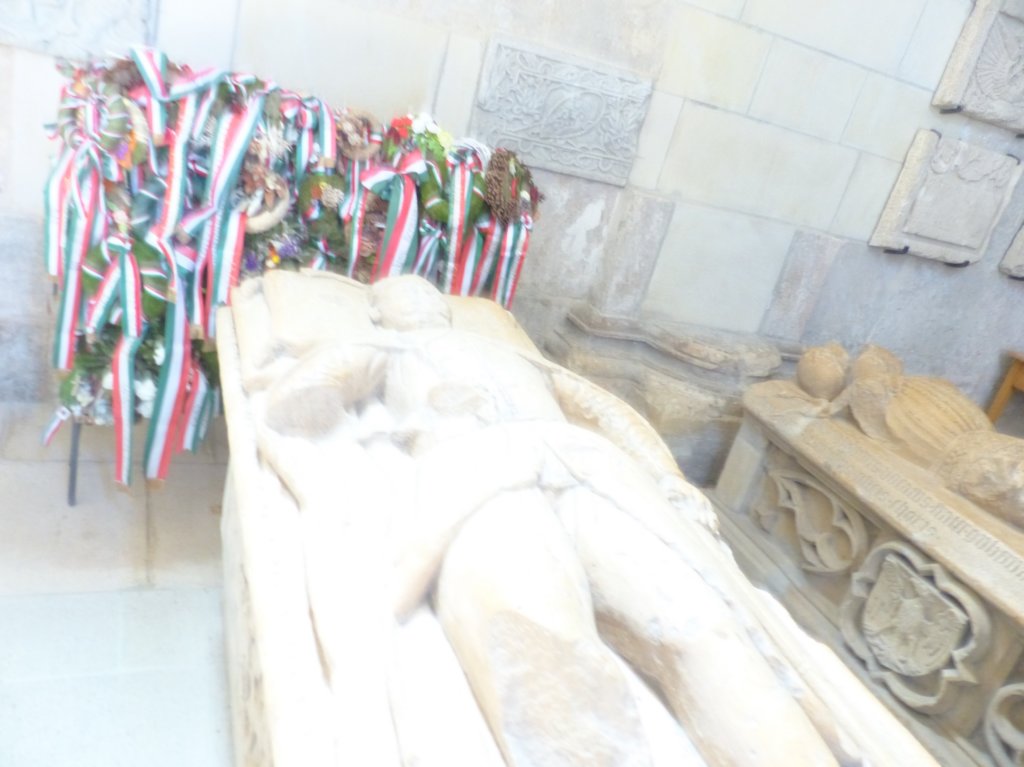 copyofp1410468.jpg