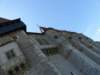 p1410347_small.jpg