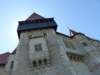 p1410349_small.jpg