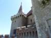 p1410412_small.jpg