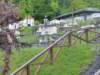 p1410875_small.jpg