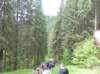p1420074_small.jpg