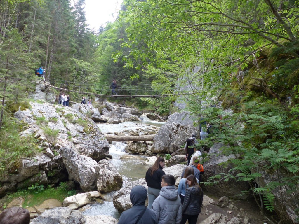 p1420162.jpg