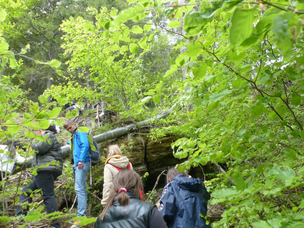 p1420431.jpg