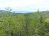 p1420444_small.jpg