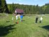 p1420512_small.jpg