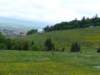 p1420673_small.jpg