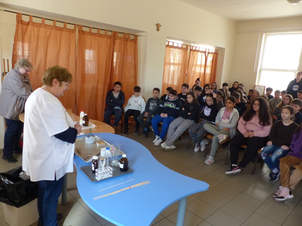p1380184.jpg