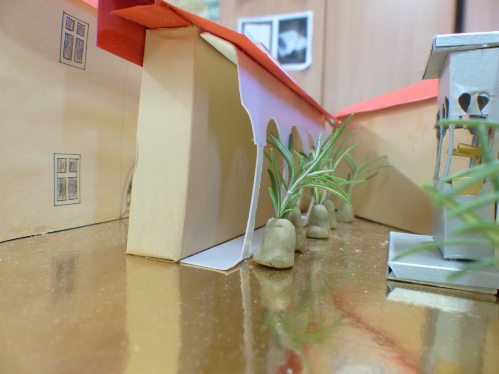 p1370656.jpg