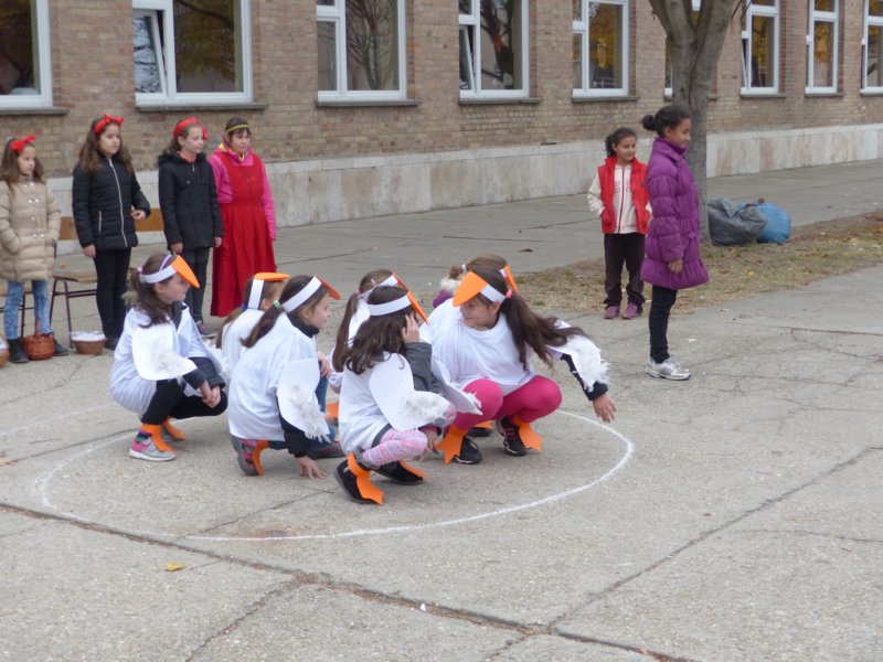 p1010372.jpg