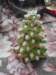 dscf1935_small.jpg