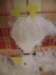 dscf1938_small.jpg