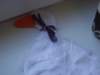dscf2053_small.jpg