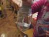 dscf2087_small.jpg