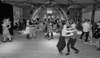 imgp3711_small.jpg